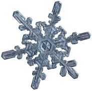 snowflake 36 lis